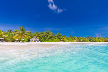 Fototapeta na wymiar Amazing beach with palm trees sea sand sky. Stunning summer vacation travel holiday panoramic shore, coast. Maldives paradise beach. Luxury resort hotel, gorgeous travel seaside landscape background