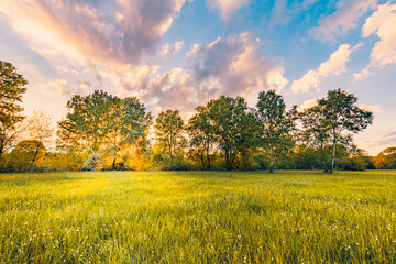 Amazing sunset panorama at magical countryside field and meadow. Forest trees with sun rays soft sunset light under colorful sky in the morning. Colorful nature landscape, stunning sunrise foliage