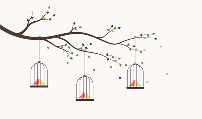 Bird in love. Bird cages on tree branch