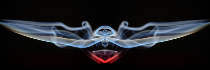 Fantastic creatures - Colorful abstract Swirls of smoke against a black background