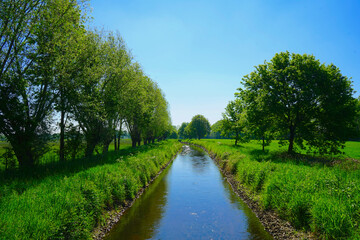 Fluss Ems im Naturschutzgebiet 