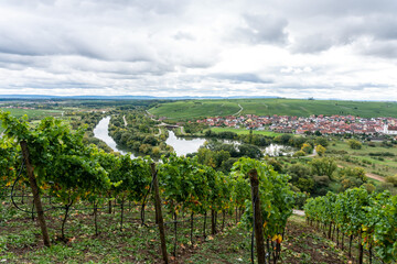 Mainschleife in Germany, view onto the river Main and the beautiful wine area