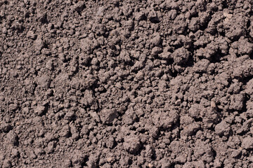 Soil texture background. Fertile land top view