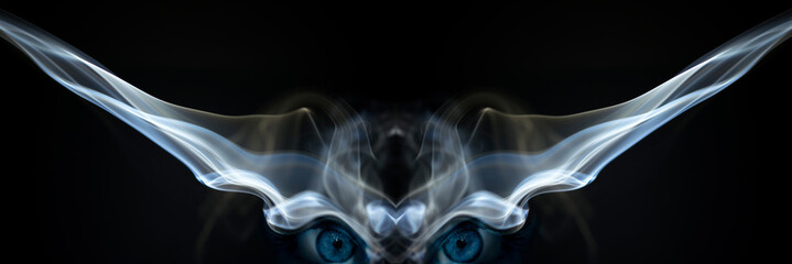 Fantastic creatures with real eyes - Colorful abstract swirls of smoke against a black background