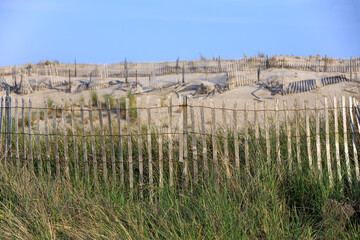 Wooden fence near sand dunes at the beach in the summer