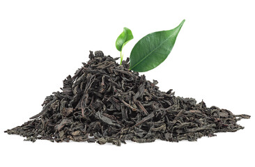Green tea leaves and pile of dried black tea isolated on a white background