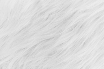 White soft wool pattern texture, abstract light fluffy fur background