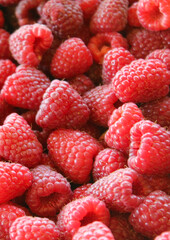 Raspberries. Raspberry background. Ripe raspberries. Fruit