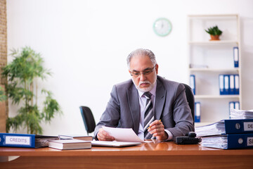 Naklejka premium Old male businessman employee reading contract in the office