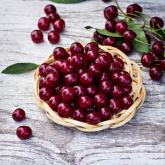 Cherry berries in a basket in the garden - 436734351