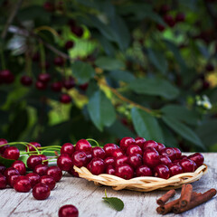Cherry berries in a basket in the garden - 436734391
