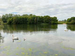 A view of Nantwich Lake
