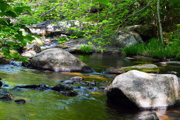 Naklejka na ściany i meble stream in the wilderness