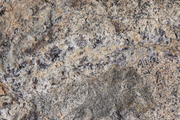 abstract texture of the stone in beige color with black and white veins