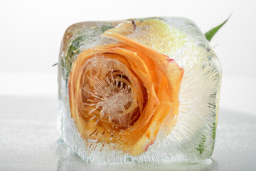 Rose in ice