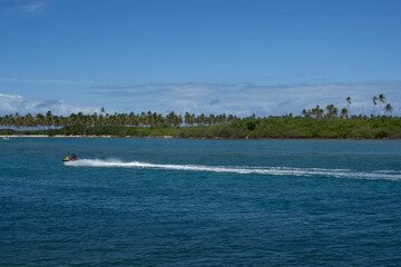 amazing landscape  of the piece of beach full of coconut trees with boat sailing in a sunny day