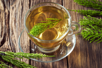 Herbal tea made from fresh horsetail plant