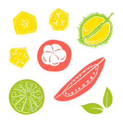 Top view of sliced tropical fruits. Colorful paper cut collection of fruits and berries isolated on white background. Doodle hand drawn fruits. Vector illustration