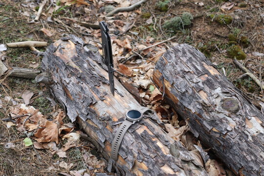 Folding knife and and smart watch on a tree log in the forest. Rest and hiking. Gadgets in nature.