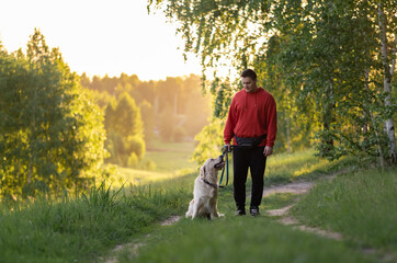 Fototapeta premium Young man with a golden retriever for a walk in a summer park. Male hands are stroking a joyful dog on the green grass. The concept of interaction with pets.