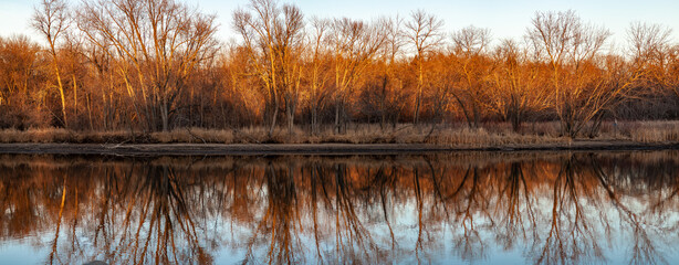 Autumn Mississippi River Forest Panorama