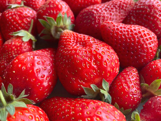 Close-up of a large number of strawberries. Natural background.