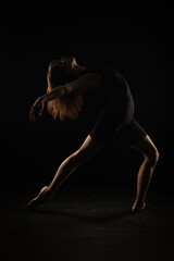 Obraz na płótnie Canvas Silhouette of ballerina posing