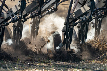 A Cloud of Anhydrous Ammonia floats in the air as a farmer applies it as fertilizer while seeding...