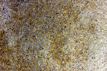 Hardened sawdust in glue