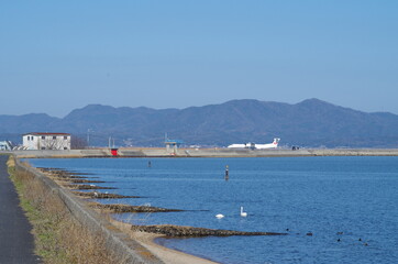 飛行機と湖の白鳥