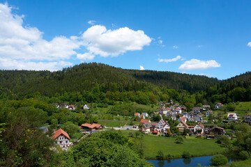 Fototapeta na wymiar panorama view of a beautiful green landscape under a blue sky in the black forest