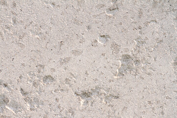 Abstract concrete background - in the form of a old rough scuffed wall, closeup