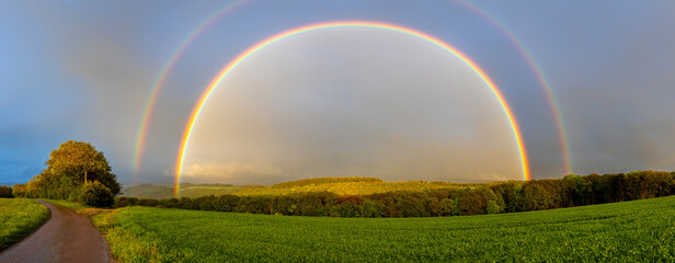 Beautiful full rainbow on the blue sky above the green field and trees - obrazy, fototapety, plakaty
