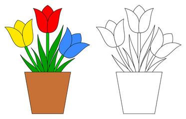 Tulip in pot. Coloring book page for children. Colorful and black and white vector illustration isolated on white background.