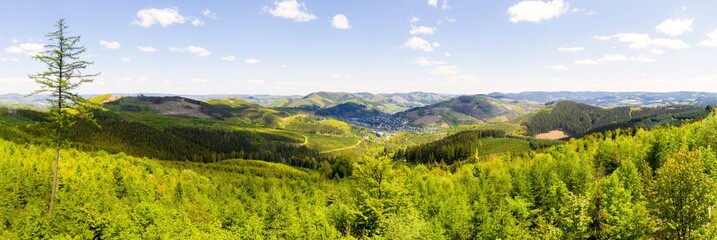 the sauerland landscape in germany in spring panorama - obrazy, fototapety, plakaty