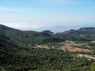 mediterranean valley with aleppo pine forests in Spain