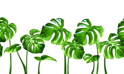 Vector horizontal tropical seamless border with green monstera leaves. - obrazy, fototapety, plakaty