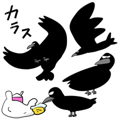 カラス　セット
