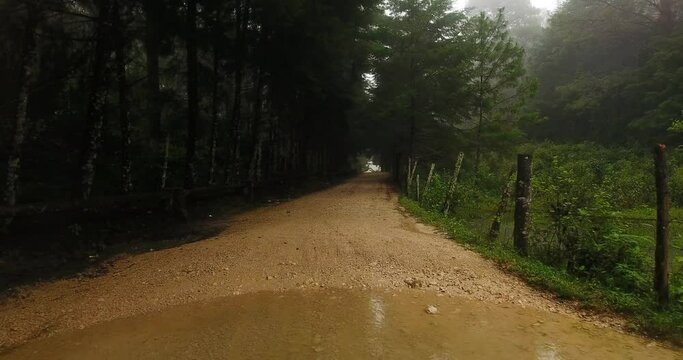 Camino Chiapas
