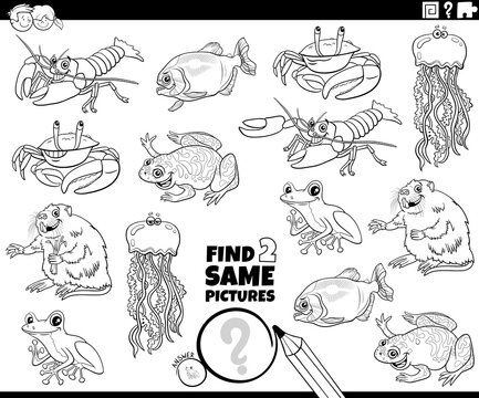 find two same animals task coloring book page