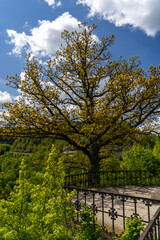 Romantische Landschaft bei Schwarzburg in Thüringen
