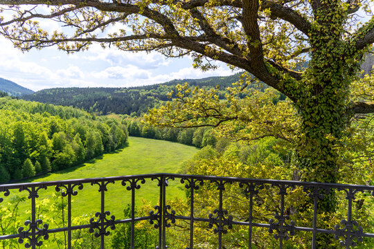 Blick in das Schwarztal nahe des Schlosses Schwarzburg