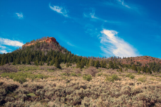 Bears Ears National Monument, showing the east butte and the vegetation around it from the eastern side