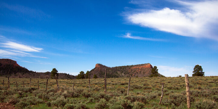 Wide view of the road through Bears Ears National Monument, showing both the west butte (right) and the east butte (left) from the eastern side