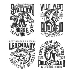 Stallion horse and wild mustang vector t-shirt print mockups. Equestrian sport, horse race, rodeo and polo club custom apparel template with head of purebred horse animal, mane and star grunge badges
