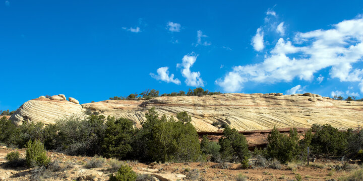 Panorama of a sculptural landform on Utah State Road 95 as it runs through Bears Ears National Forest
