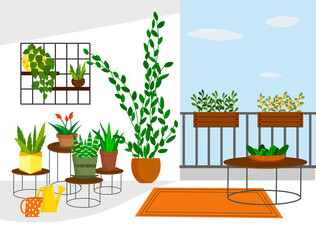 Garden on the balcony with flowers in pots and on shelves. Vector illustration. For use in flower shops, brochures, flyers, promotional illustrations, books and covers.