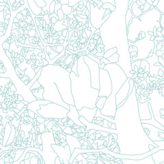 Obraz na płótnie Canvas 白木蓮の線画イラスト Yulan magnolia