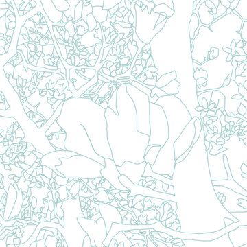 白木蓮の線画イラスト
Yulan magnolia