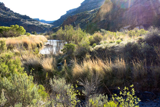 Plateau Creek flows along the scenic byway past sheer cliffs on Grand Mesa in Colorado